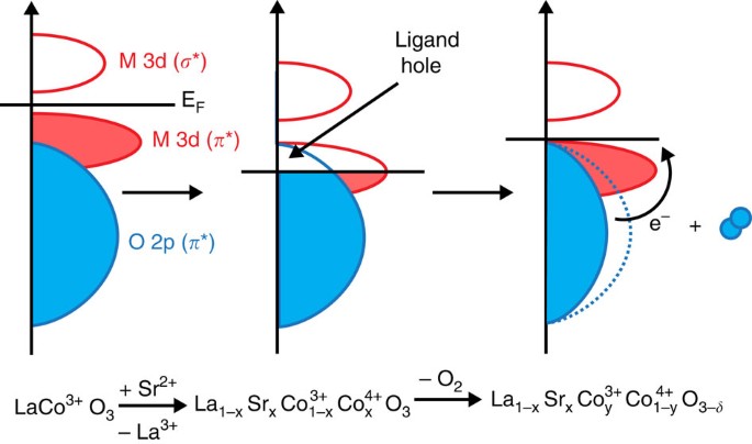 Water Electrolysis On La 1 X Sr X Coo 3 D Perovskite Electrocatalysts Nature Communications