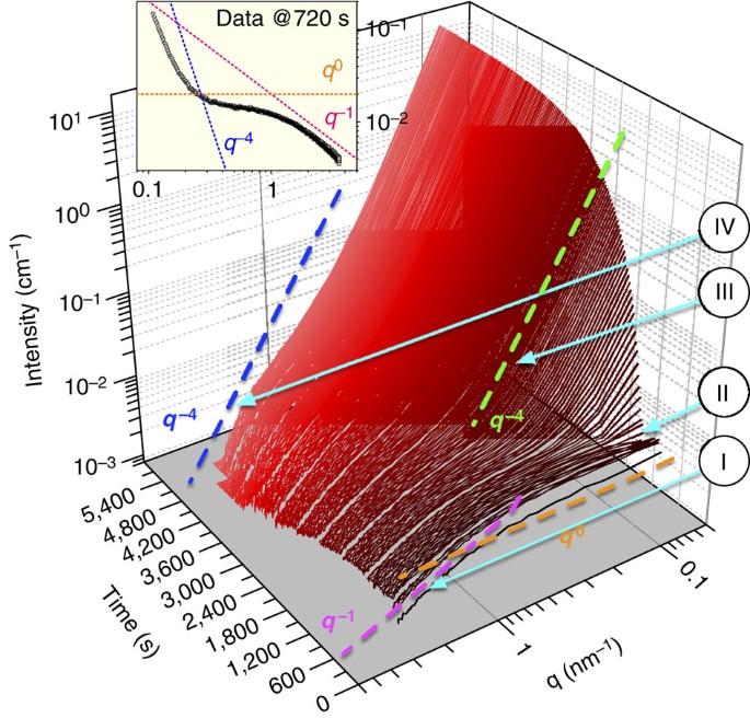 The nano- and meso-scale structure of amorphous calcium carbonate