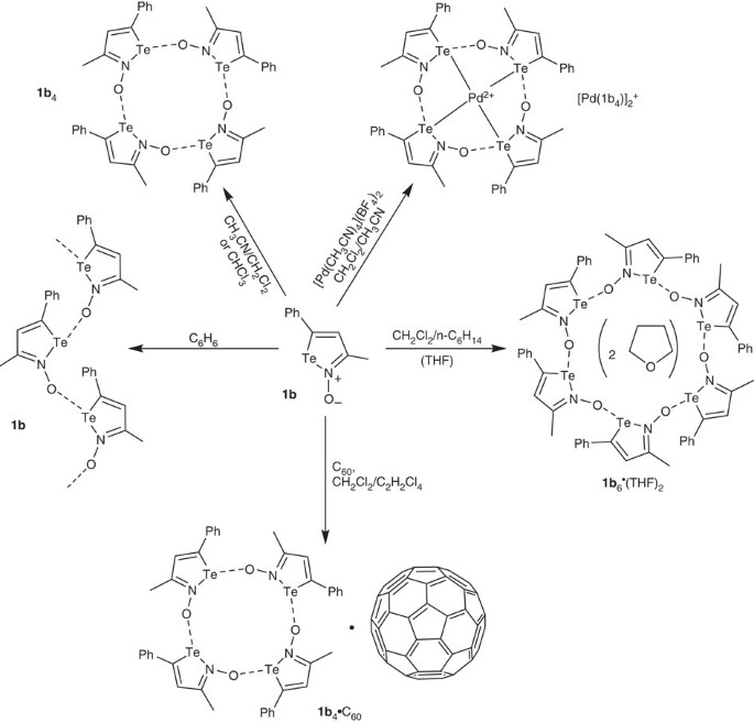 Supramolecular Macrocycles Reversibly Assembled By Te O