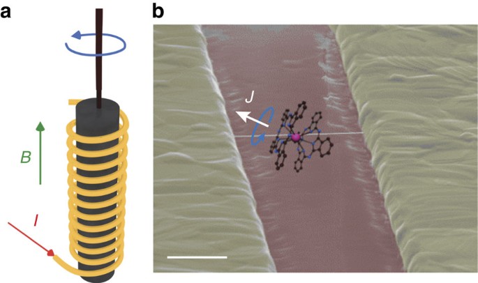 Quantum Einstein De Haas Effect Nature Communications