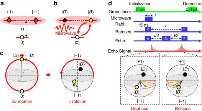 Geometric spin echo under zero field | Nature Communications