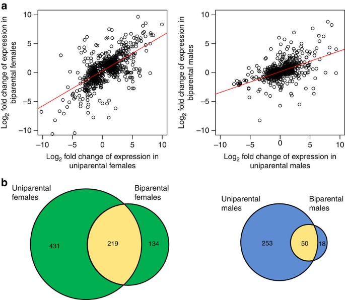 Erratum: transcriptomes of parents identify parenting strategies and sexual conflict in a subsocial beetle