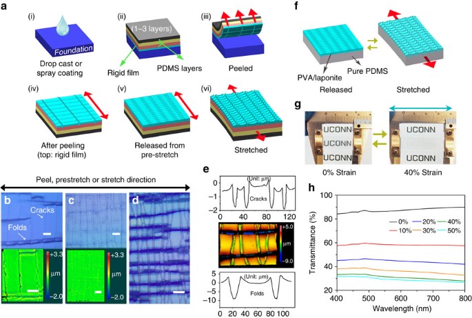 Bio-inspired sensitive and reversible mechanochromisms via strain 