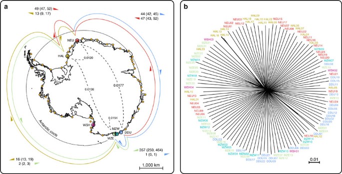 Full Circumpolar Migration Ensures Evolutionary Unity In The Emperor Penguin Nature Communications