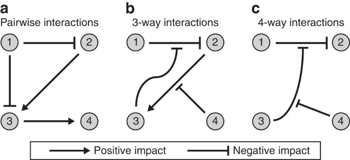 High Order Species Interactions Shape Ecosystem Diversity Nature Munications