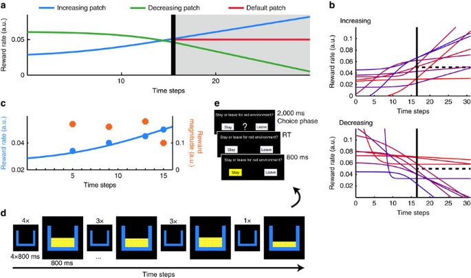 Predictive Decision Making Driven By Multiple Time Linked Reward Representations In The Anterior Cingulate Cortex Nature Communications