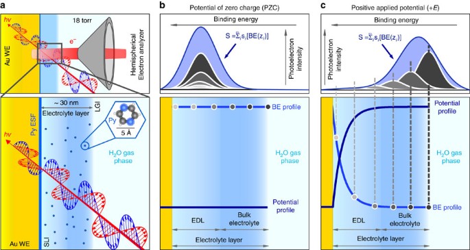Unravelling the electrochemical double layer by direct probing of the  solid/liquid interface