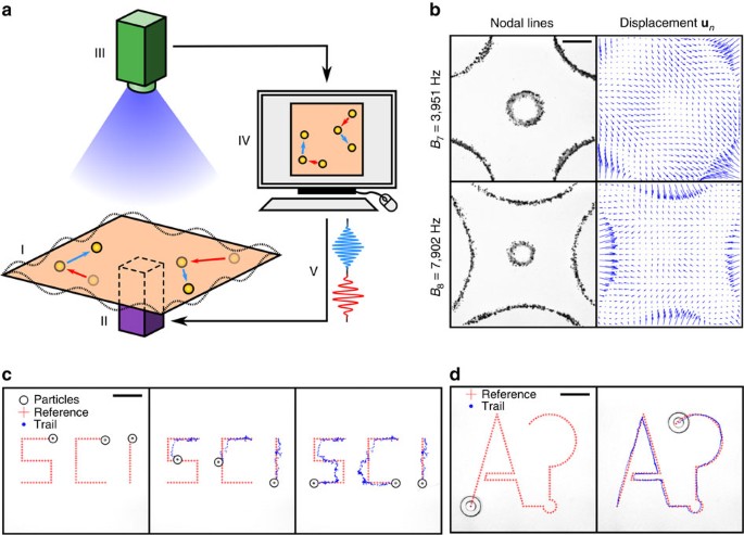 Controlling The Motion Of Multiple Objects On A Chladni Plate Nature Communications