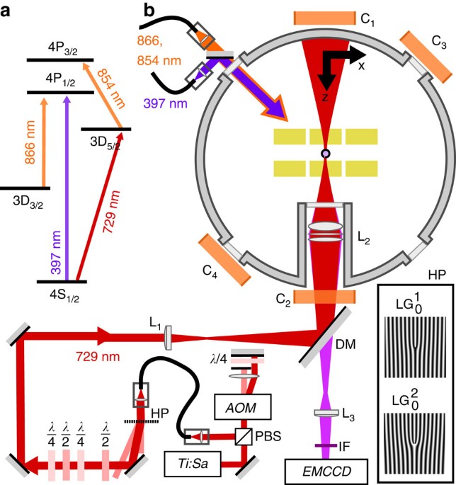 Transfer of optical orbital angular momentum to a bound electron