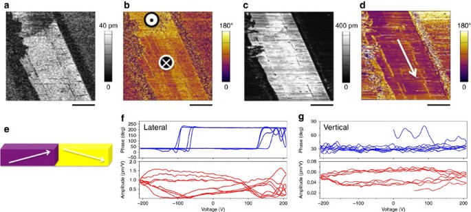 Plastic bending in a semiconducting coordination polymer crystal