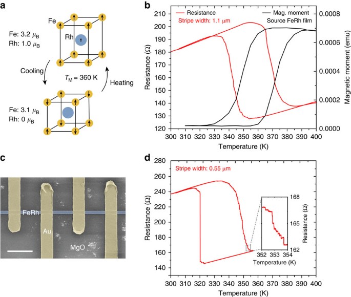 Colossal magnetic phase transition asymmetry in mesoscale FeRh stripes |  Nature Communications