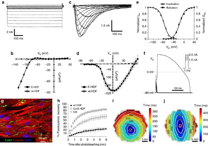 Engineering prokaryotic channels for control of mammalian tissue  excitability | Nature Communications
