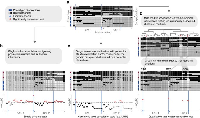 A multi-marker association method for genome-wide association studies  without the need for population structure correction | Nature Communications
