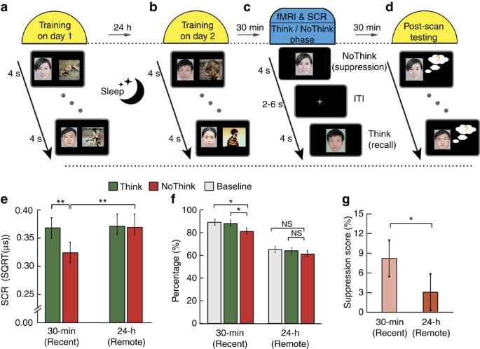 Memory consolidation reconfigures neural pathways involved in the suppression of emotional memories | Nature Communications Memory consolidation reconfigures neural pathways involved in the suppression of emotional memories | Nature Communications