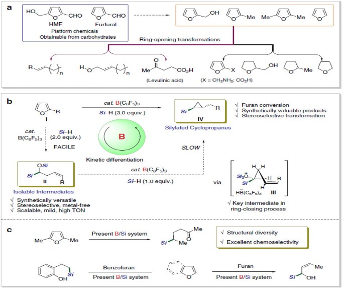 Borane catalysed ring opening and closing cascades of furans leading to  silicon functionalized synthetic intermediates | Nature Communications