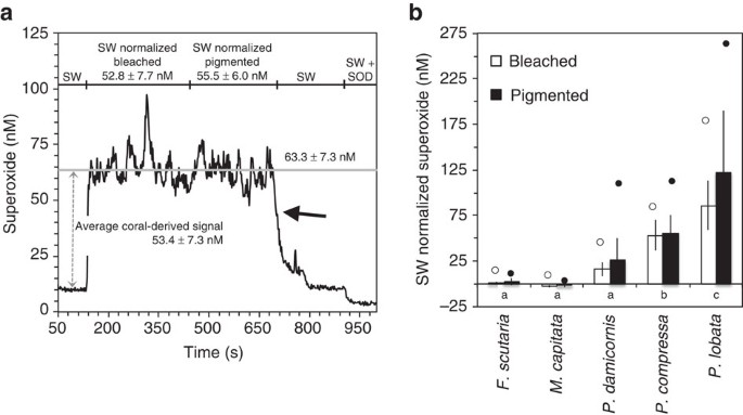 Species Specific Control Of External Superoxide Levels By The Coral Holobiont During A Natural Bleaching Event Nature Communications