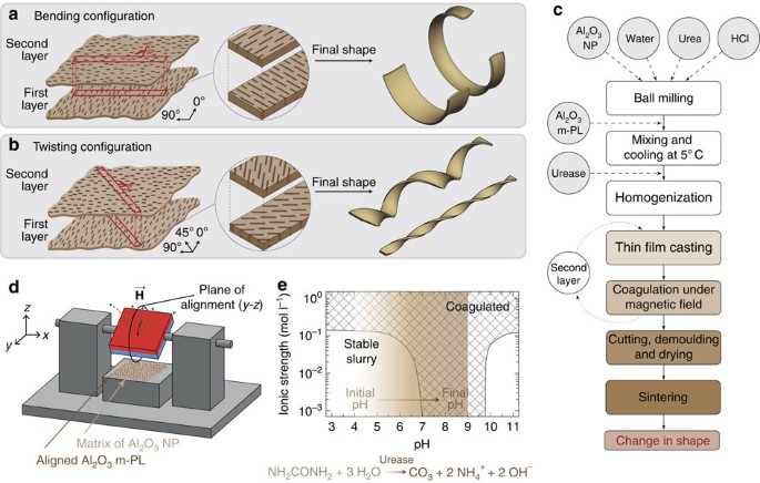 Bio-inspired self-shaping ceramics | Nature Communications