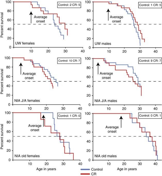 Re: [新聞] 為何吃得少活得久？陽明交大研究發現關