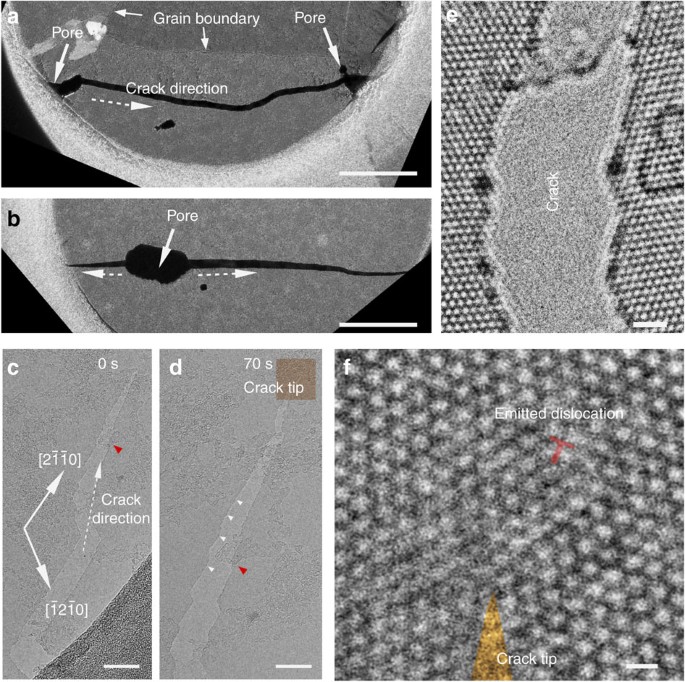 Dynamical observations on the crack tip zone and stress corrosion of  two-dimensional MoS2 | Nature Communications