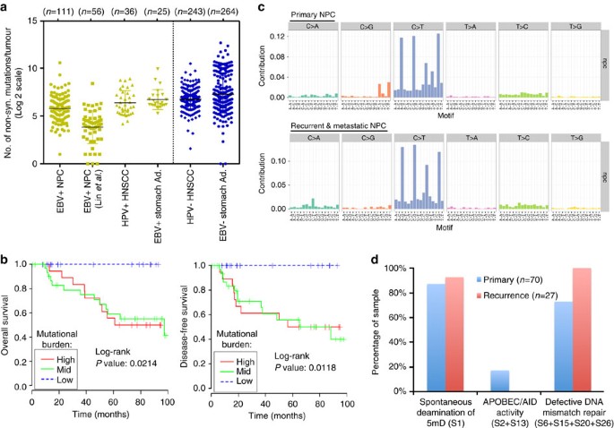 Exome And Genome Sequencing Of Nasopharynx Cancer Identifies Nf Kb Pathway Activating Mutations Nature Communications