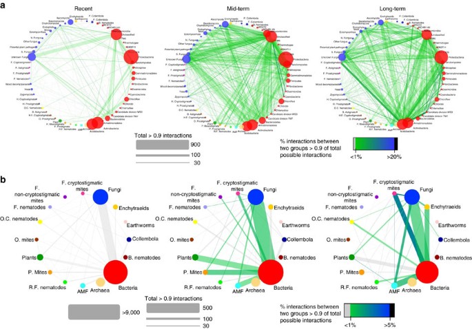 Soil Networks Become More Connected And Take Up More Carbon As