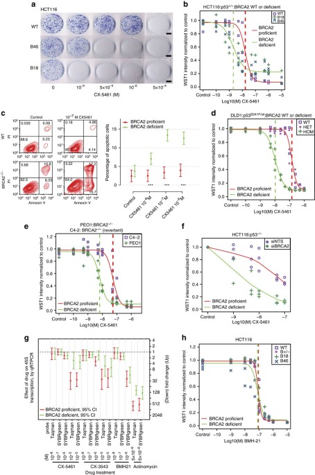 Cx 5461 Is A Dna G Quadruplex Stabilizer With Selective Lethality In Brca1 2 Deficient Tumours Nature Communications
