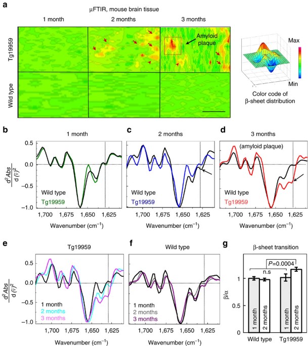 Pre Plaque Conformational Changes In Alzheimer S Disease Linked Ab And App Nature Communications