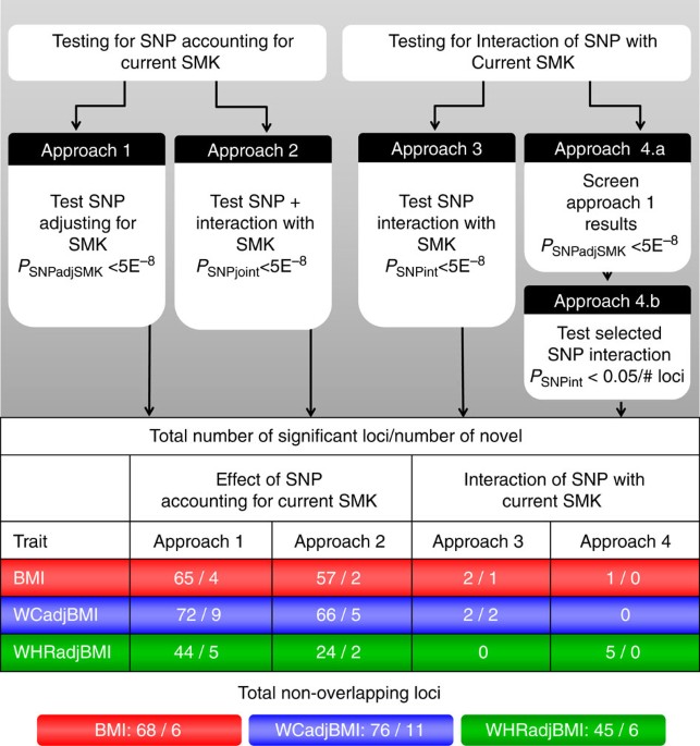 Genome Wide Meta Analysis Of 241 258 Adults Accounting For Smoking Behaviour Identifies Novel Loci For Obesity Traits Nature Communications