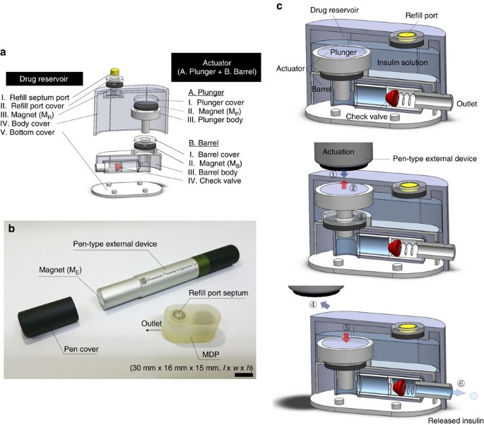 https://media.springernature.com/m685/springer-static/image/art%3A10.1038%2Fncomms15032/MediaObjects/41467_2017_Article_BFncomms15032_Fig1_HTML.jpg