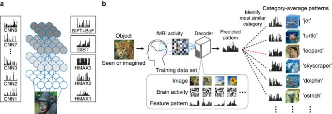 Generic decoding of seen and imagined objects using hierarchical