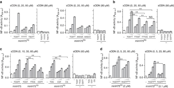 short single stranded dna degradation