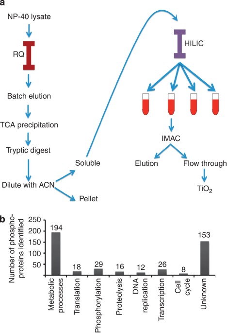 Global kinomic and phospho-proteomic analyses of the human malaria