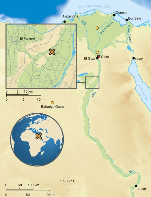 Ancient Egyptian mummy genomes suggest an increase of Sub-Saharan African  ancestry in post-Roman periods