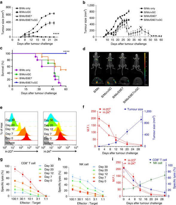 IL-21-mediated reversal of NK cell exhaustion facilitates anti  