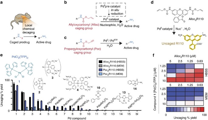 Nano-palladium is a cellular catalyst for in vivo chemistry | Nature  Communications