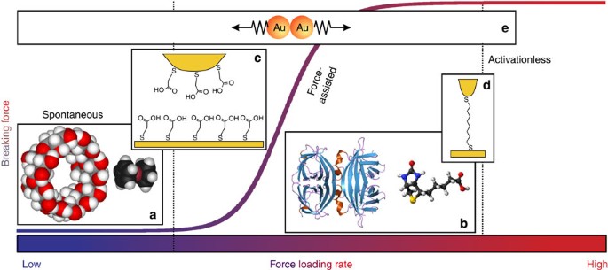 Dynamic Breaking Of A Single Gold Bond Nature Communications