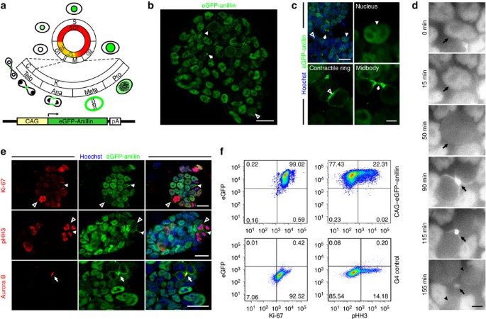 Fusion 101 Christian Dating Site Fusion 101 Christian Dating Site
