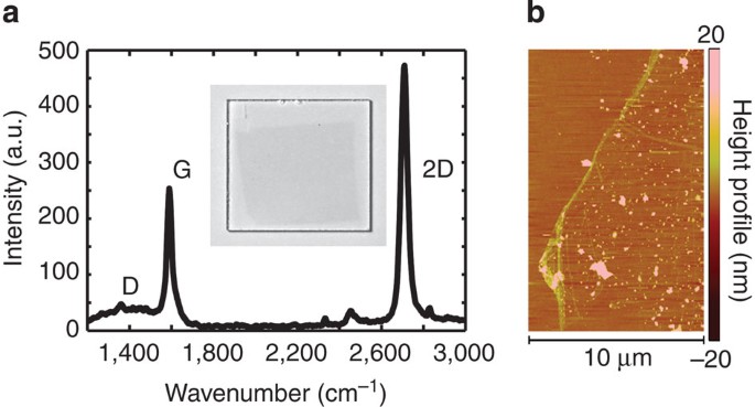 Extreme Sensitivity Of Graphene Photoconductivity To Environmental Gases Nature Communications