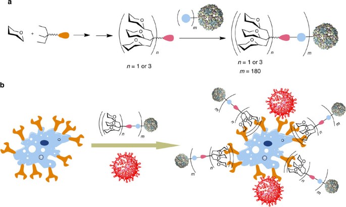 Virus-like glycodendrinanoparticles displaying quasi-equivalent nested polyvalency upon glycoprotein platforms potently block viral infection