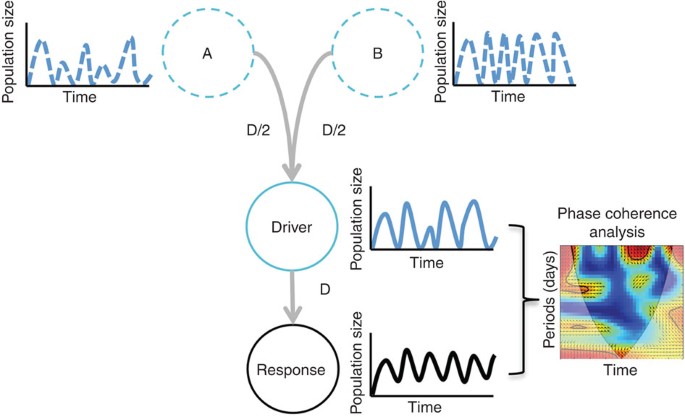 types of synchrony chaotic communities | Nature Communications