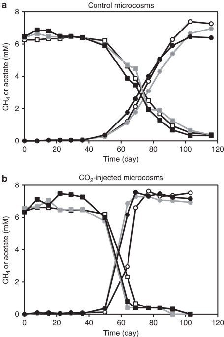 Carbon dioxide concentration dictates alternative methanogenic pathways in  oil reservoirs | Nature Communications