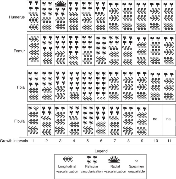 Keystone Symposia on X: Scholarships for Vertebrate