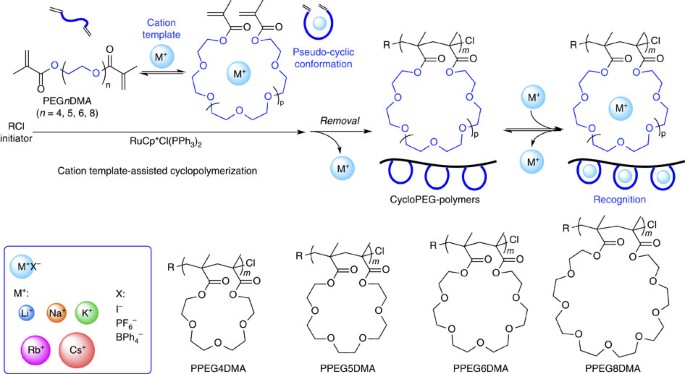 Polymeric Pseudo Crown Ether For Cation Recognition Via Cation Template Assisted Cyclopolymerization Nature Communications Polymeric Pseudo Crown Ether For Cation Recognition Via Cation Template Assisted Cyclopolymerization Nature Communications