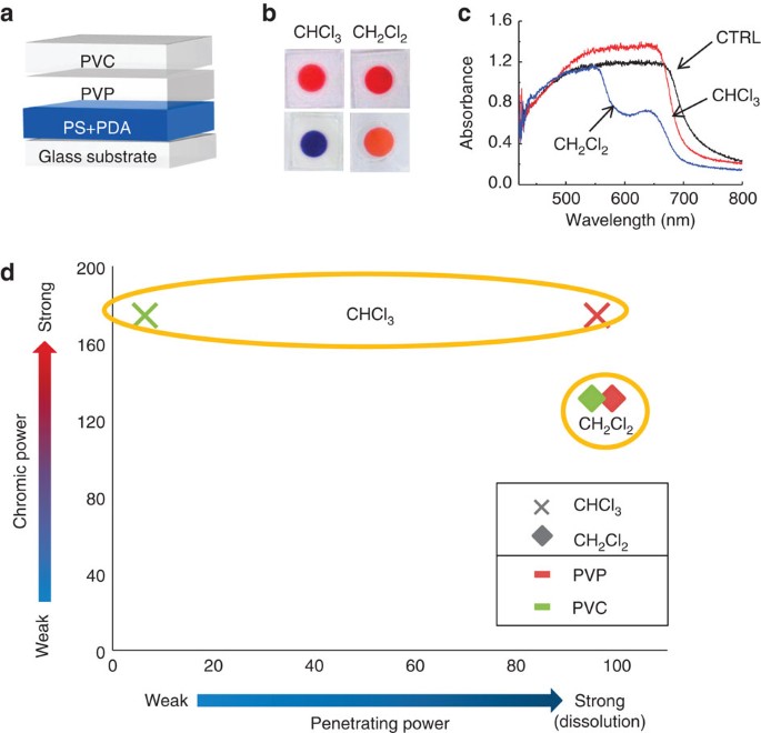 Solvatochromism and Conformational Changes in Fully Dissolved Poly