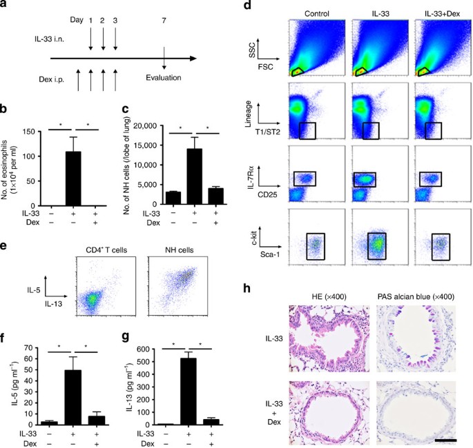 Thymic stromal lymphopoietin induces corticosteroid resistance in natural  helper cells during airway inflammation | Nature Communications