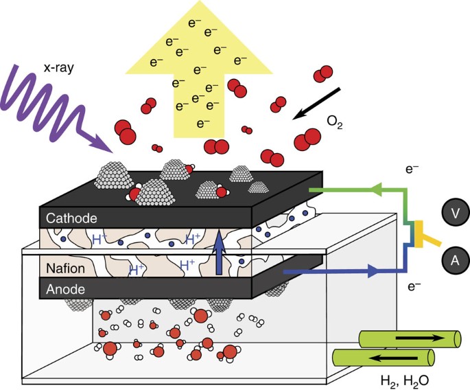 Direct Observation Of The Oxygenated Species During Oxygen Reduction On A Platinum Fuel Cell Cathode Nature Communications