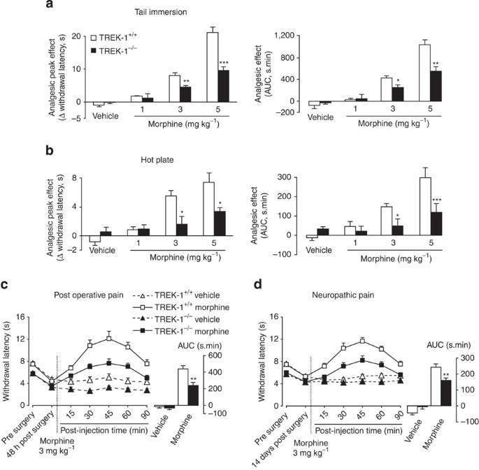 Activation Of Trek 1 By Morphine Results In Analgesia Without Adverse Side Effects Nature Communications Activation Of Trek 1 By Morphine Results In Analgesia Without Adverse Side Effects Nature Communications