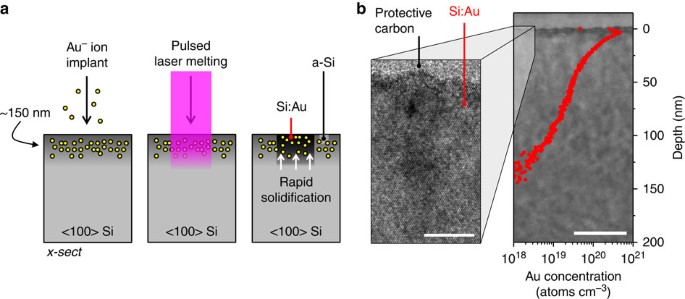 Room-temperature sub-band gap optoelectronic response of hyperdoped silicon  | Nature Communications