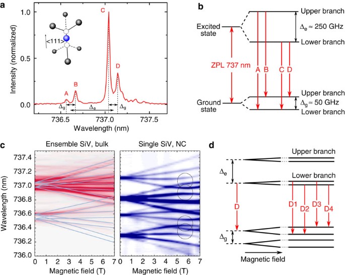 Optical signatures of silicon-vacancy spins in diamond | Nature  Communications