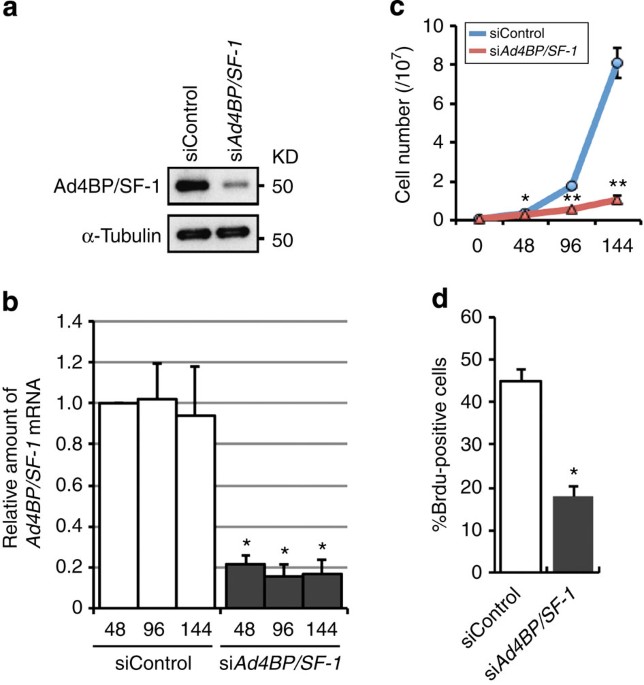 Glycolytic Genes Are Targets Of The Nuclear Receptor Ad4bp Sf 1 Nature Communications